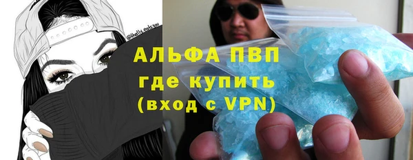 хмурый Алексин