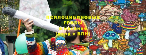 МДПВ Алзамай