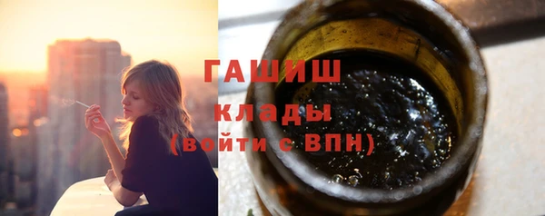 хмурый Алексин
