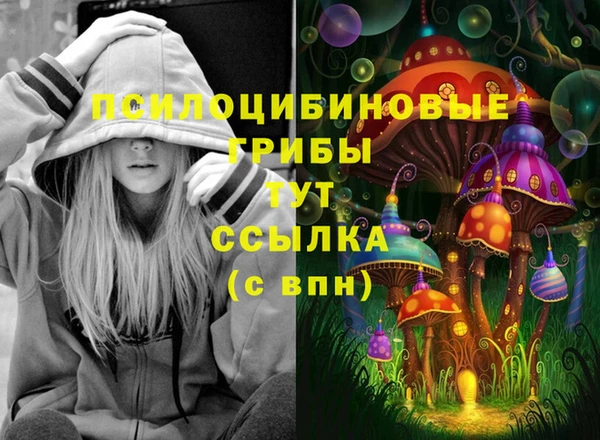прущие крисы Алексеевка
