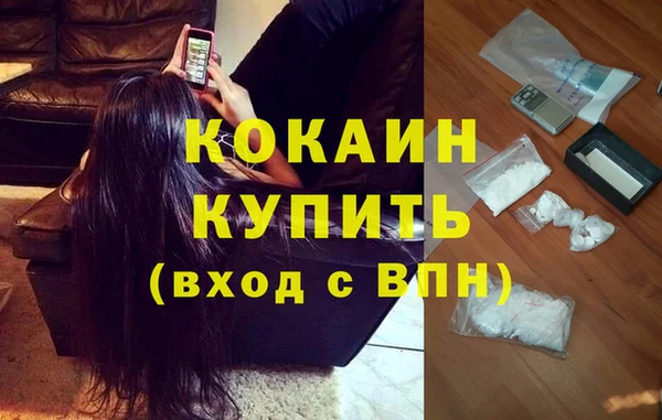 хмурый Алексин