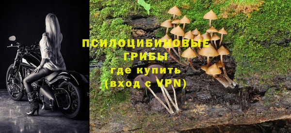 прущие крисы Алексеевка