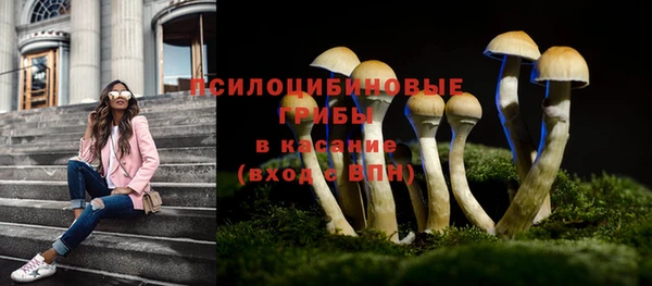 прущие крисы Алексеевка