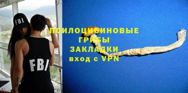 хмурый Алексин