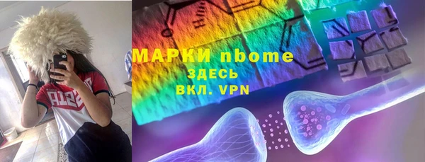 хмурый Алексин