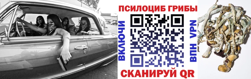 закладки  Одинцово  ОМГ ОМГ зеркало  Галлюциногенные грибы Psilocybine cubensis 
